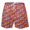 Rock and Stones Men Beach and Bush Shorts