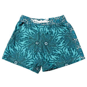 Boy's Beach and Bush Short